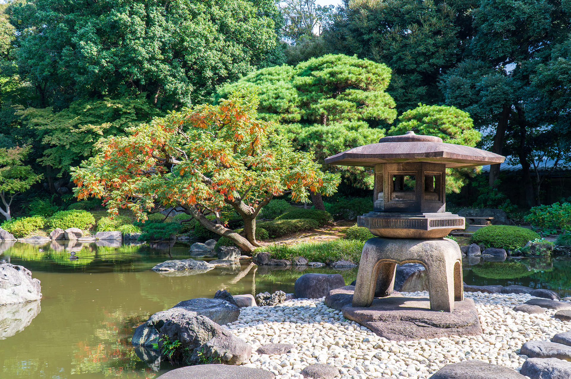 Création jardin Anse