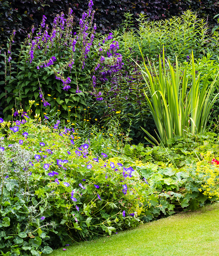 https://www.sebjardins.fr/wp-content/uploads/2021/04/jardinage-paysage-trevoux.jpg