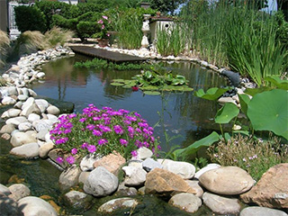 https://www.sebjardins.fr/wp-content/uploads/2021/04/paysage-belleville.jpg